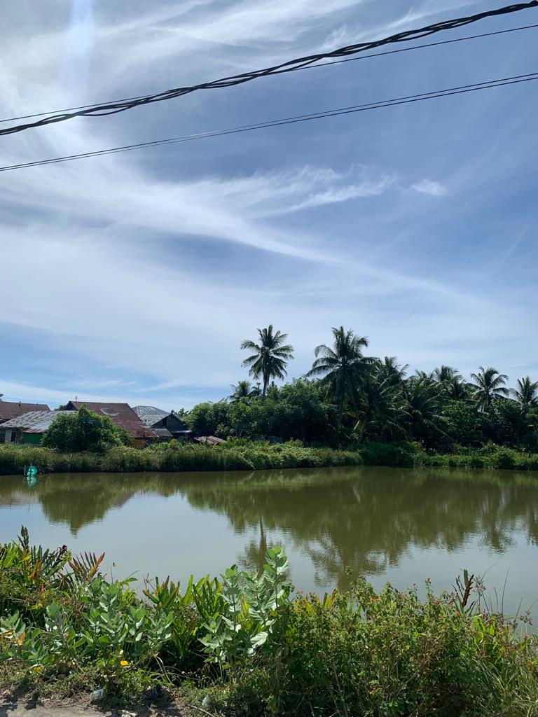 Tambak Desa Meunasah Jurong